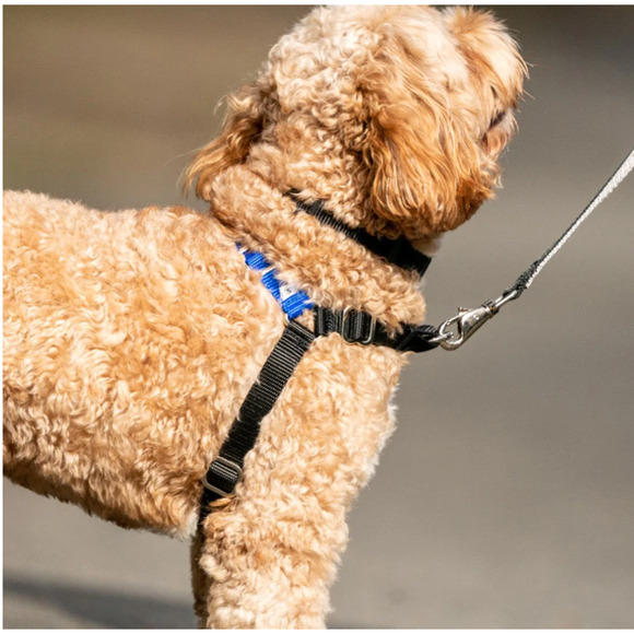 Wonder Walker Black Pink Body Halter No-Pull Dog Harness XL NWT - Picture 6 of 6